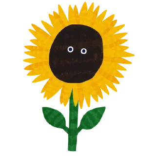 🌻