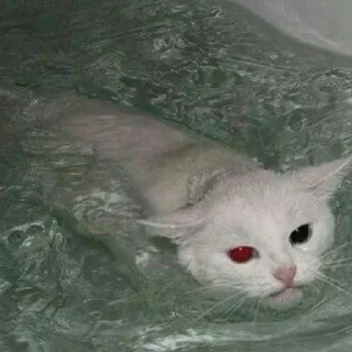 🌊