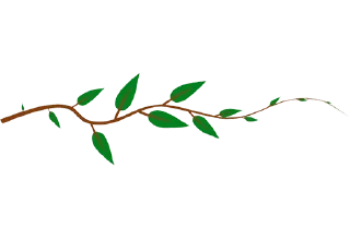 🌿