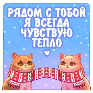 🧣