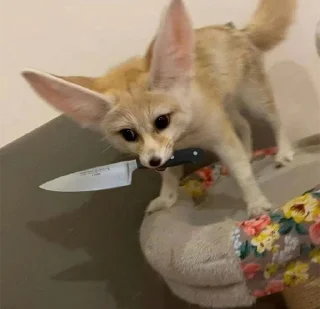 🔪