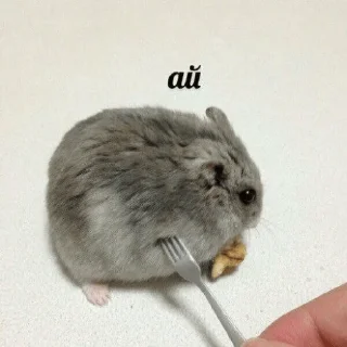😓