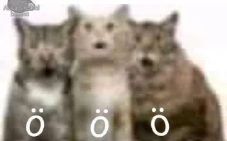 😨