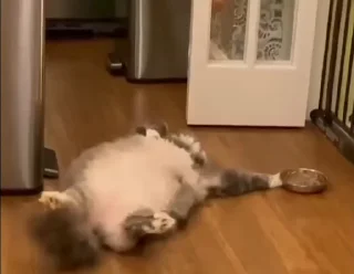 😵