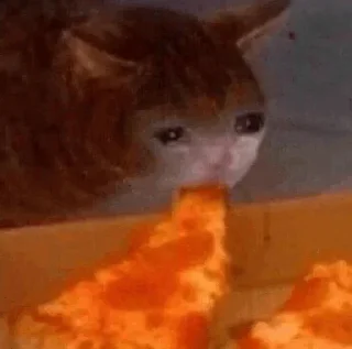 🥺