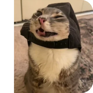 👍