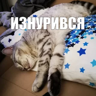 😩