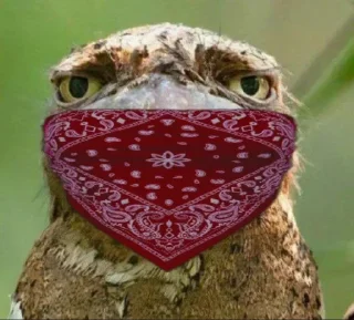 🪃