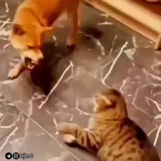 🤨