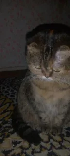 😞