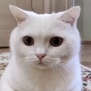 😞