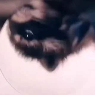 ☺️