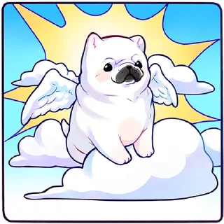😇