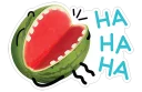 🍉