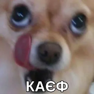 😏