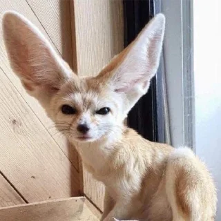 🤨