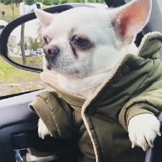 🥺
