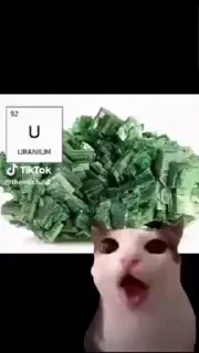 🤩