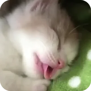 😴