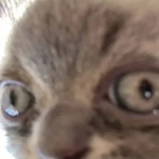 🫠
