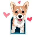 🐶