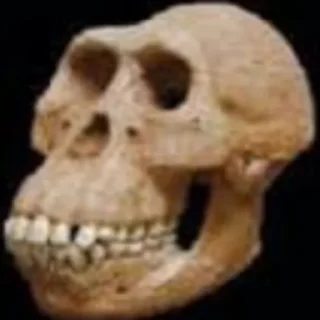 💀