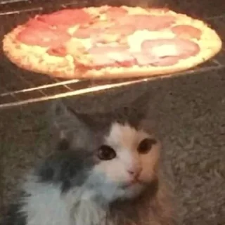🍕