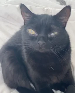 😠