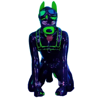 🐕