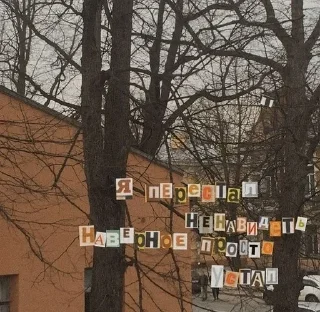 🍂