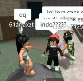 🇮🇩