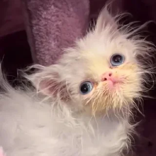 🙃