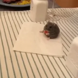 🌟