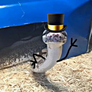 🙂