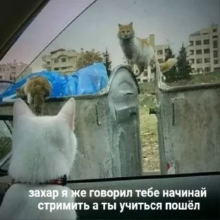 🧐