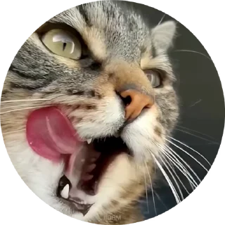 😜