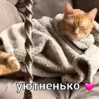 😄