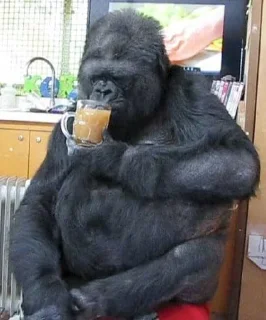 🥃