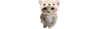 🐈