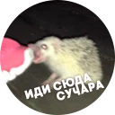 😡