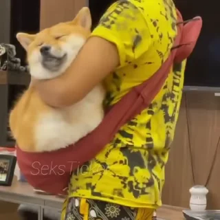 🪥