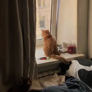 🌝