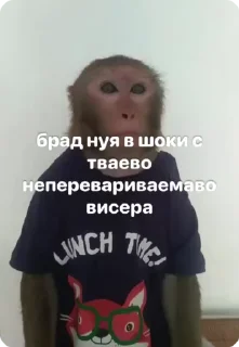 💩