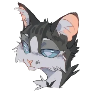 🐱