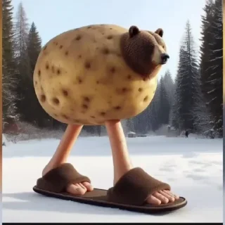 🤩