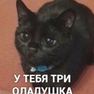🥲