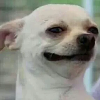🙂