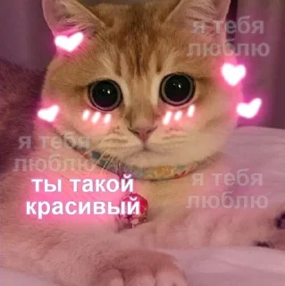 🥺