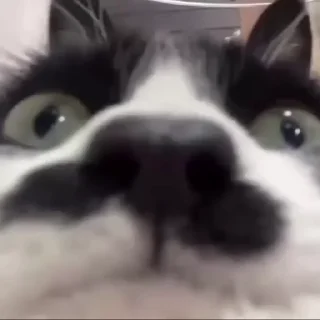 👀