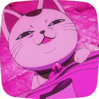 😼